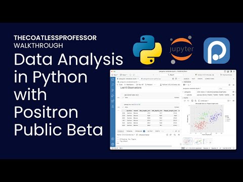 Positron IDE: Data Analysis with Python in Jupyter Notebooks and Python Script Files (Public Beta)