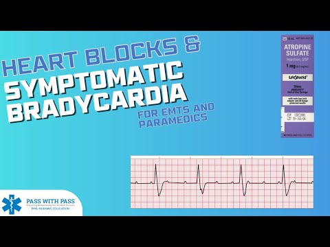 Heart Blocks & the Bradycardic ACLS Algorithm - Symptomatic Bradycardia