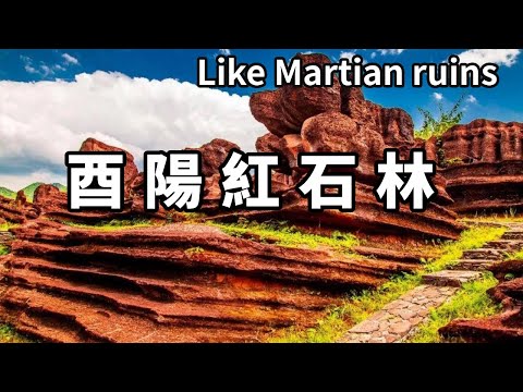 在中國發現了火星遺跡?重慶酉陽的紅石林,展現5億年前的海底世界【大海去旅行】