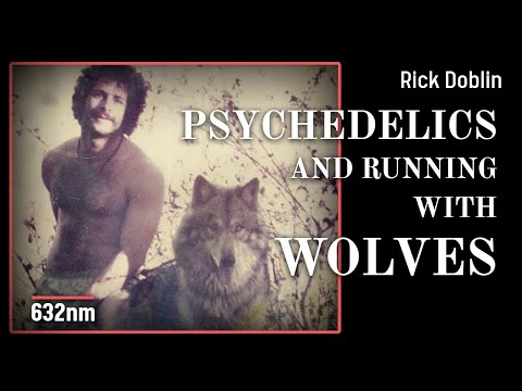 Inside the Battle for Psychedelic Therapy | Rick Doblin