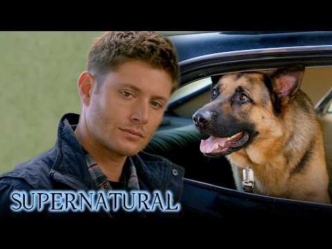 And Just Like That, Dean Can Talk to Dogs | Supernatural