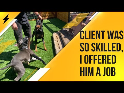 Difficult pit with a highly skilled owner//Does he take the job?