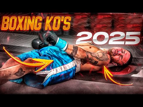 Best Boxing knockouts 2025 | November | Top KOs & Highlights HD