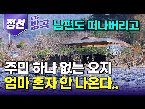 [강원 정선] "다 포기하고 어머니 곁으로 돌아왔다" 사람 발길 쉬이 허락하지 않는 오지에 홀로 남겠다는 어머니 모시러 산골로 돌아와 10년｜동강｜거북이마을｜#한국기행 #방방곡곡