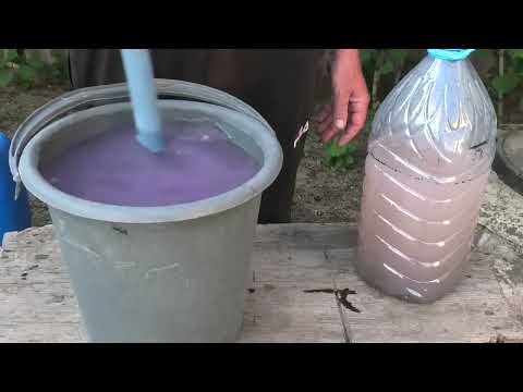 Суперудобрение из золы для ягодных и овощных культур.