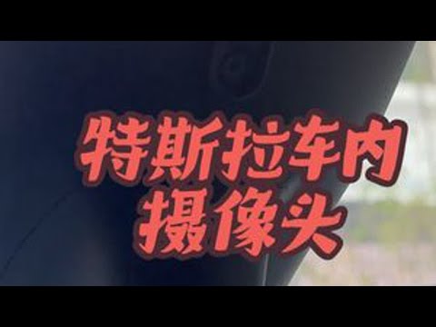 虽然说，特斯拉不能实时看到画面 但是还是心里感觉有个眼睛👀一直再盯着你看，所以一个车内的隐私盖板还是挺有必要的。#特斯拉车内摄像头高清画面 #特斯拉车内监控 #特斯拉车内摄像头 #特斯拉车内摄...