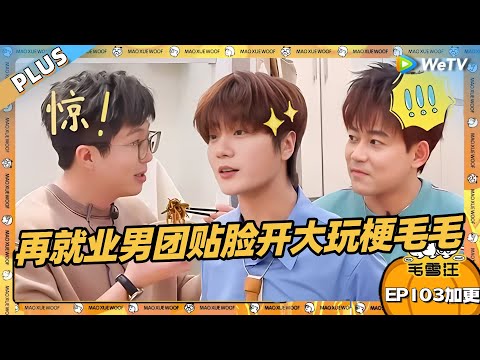 EP103加更：再就业男团贴脸开大玩梗毛不易？！ |《毛雪汪》EP103 PLUS  #综艺 #毛雪汪 #李雪琴 #毛不易 #陆虎 #苏醒 #王铮亮