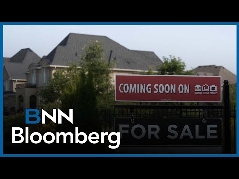 'Real estate in Canada, is probably a very big proportion of people's net worth': Vinokur