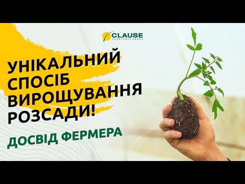 УНІКАЛЬНИЙ СПОСІБ ВИРОЩУВАННЯ РОЗСАДИ: ДОСВІД ФЕРМЕРА