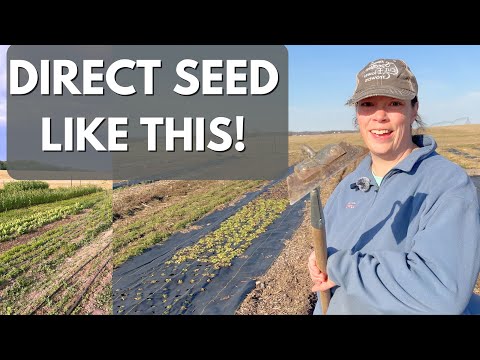 Direct Seed THIS Week—Here’s How