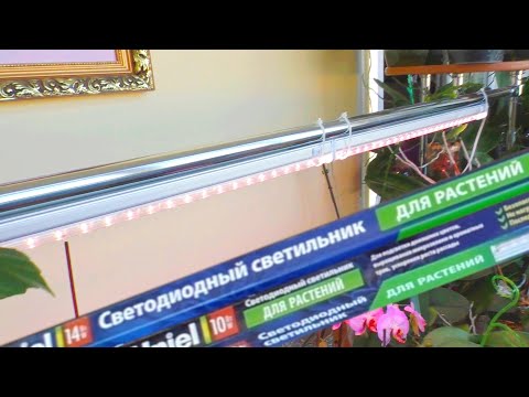 Is it justified to buy expensive phytolamps!?/My thoughts.../What I use.