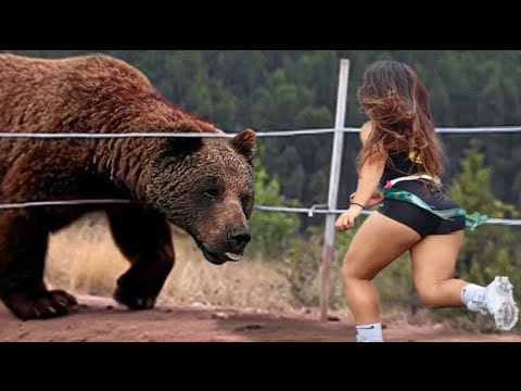 Tiere treffen ihre Besitzer nach Jahren wieder!