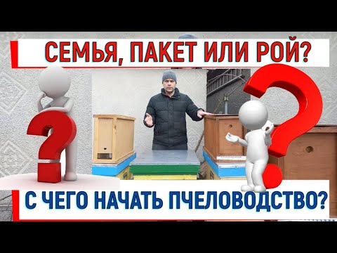 Семья, пчелопакет или рой? С чего начать пчеловодство?