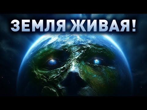 Планеты могут быть разумными. Земля — одна из них?