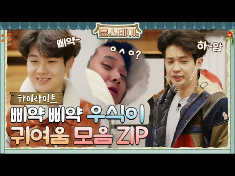 [하이라이트] 삐약삐약 사랑둥이 우시기 귀여운 모먼트 다 모아봄♥ (나 왜 우시기 없어ㅠㅠ)#윤스테이 | younstay EP.5