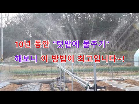 My Easy Way to Create a Rainy Garden Without Worries About Water