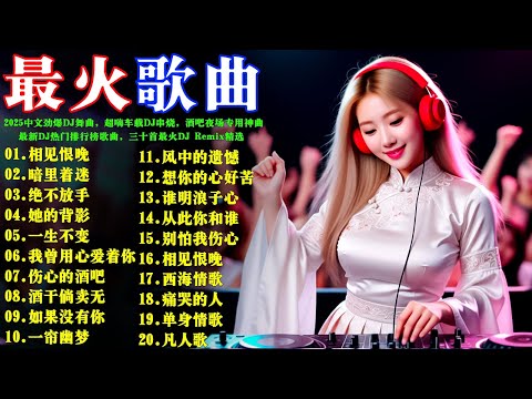 2026中文劲爆DJ舞曲，超嗨车载DJ串烧，酒吧夜场专用神曲，最新DJ热门排行榜歌曲，三十首最火DJ Remix精选 🔥170分钟连播神曲合集#彭佳慧#張宇#周傳雄#伍佰#任賢齊#林憶蓮#王傑#張雨生