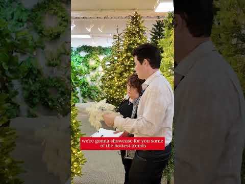 ✨ A sneak peek of what’s coming this week ✨