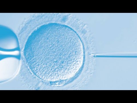 IVF Lab Tour - What happens Inside (Fertilization by ICSI to Embryo Transfer)