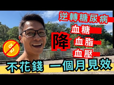 極速減肥，不反彈。運動「零」痛苦。 幫助控制高血糖高血脂高血壓。尿酸痛風都可舒緩。 齊齊來[超慢跑]。#超慢跑 #糖尿病  #高血脂 #脂肪肝 #高血壓 #減肥瘦身不反彈 #增加血液循環 #微循環