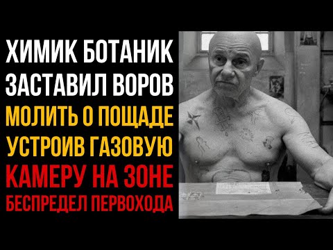Первоход Ботаник Химик Растворил Авторитетов В Кислоте! Жесть I Колония Жизни