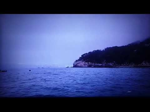 🌹공영규&스마트사진작가TV📷 ~음악방송🎸🎶(대표곡&커버곡&신청곡)