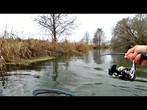 ДИКИЕ ЩУКИ ЗАРОСШЕЙ МИКРО РЕЧКИ РАДУЮТ МОЩНЫМИ ПОКЛЕВКАМИ. Рыбалка на спиннинг осенью