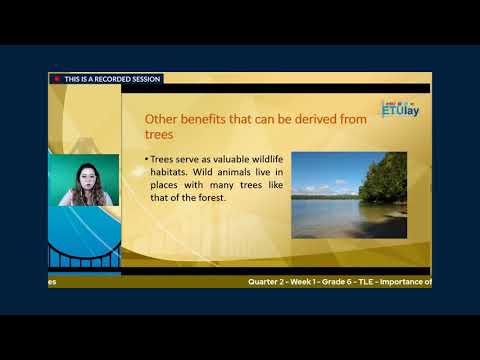 ETULAY TLE6 Q2 WEEK1: Importance of Planting Trees