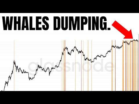 Wall Street Has Changed The Game…