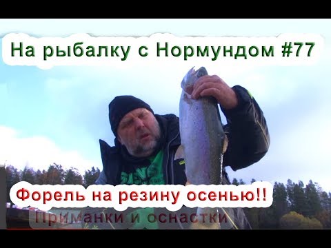 Форель на резину осенью. На рыбалку с Нормундом #77