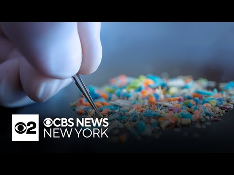 Doctor breaks down study that found alarming rates of microplastics in the brain