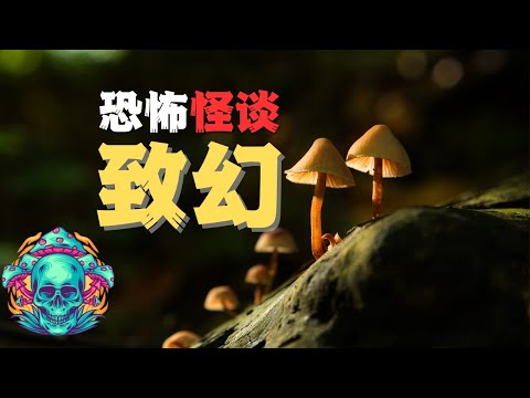 勿食蘑菇！！！看到最後讓你倒吸一口涼氣的真實故事《致幻蘑菇》