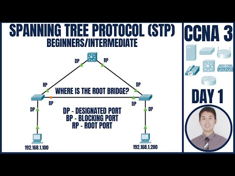 (STP) Spanning Tree in Packet Tracer | CCNA 3: Day 1