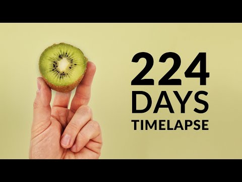 Growing KIWI Time-lapse 224 Days