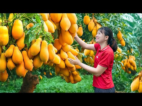 Harvesting 1000+ Hybrid Papaya – Sweet & Sour Papaya Salad | Sold Out Fast at Village Market