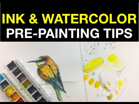 Simple watercolor pre-painting tips | draw and paint a bee-eater bird with Ink & watercolor