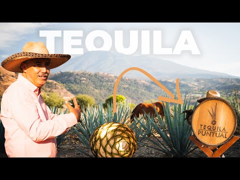 How Tequila Is Made: From Agave Fields to Glass