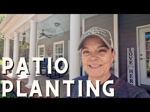 Getting The Patio Garden Ready for Summer!