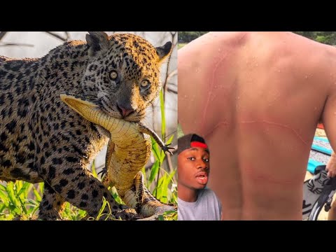 5 More Horrible Ways Animals Can End You