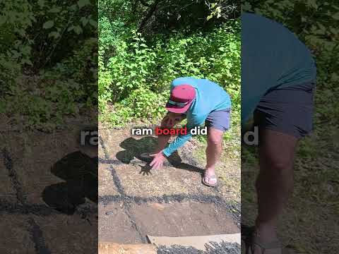 Testing Weed Barrier Options