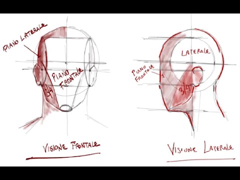 Metodo Loomis (per Secondaria di I°grado)