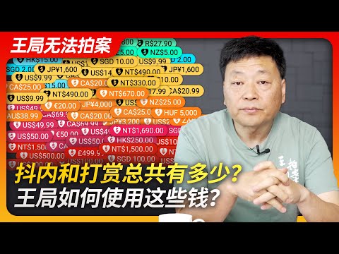 抖内和打赏有多少，王局如何使用这笔钱？｜抖内｜打赏｜网暴｜移民署｜诉讼｜王局无法拍案20240205