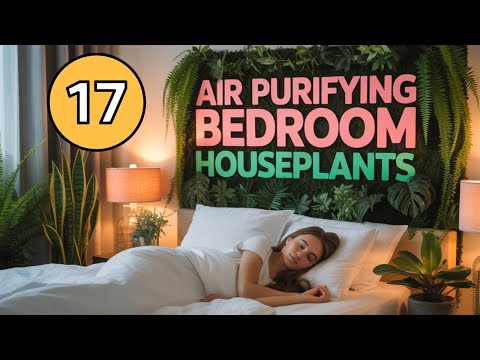 17 Houseplants for Your Bedroom To Sleep Better and Purify the Air (No Sunlight )