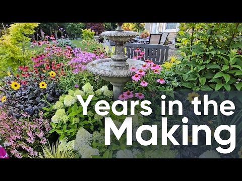 What Actually Works in a Summer Garden