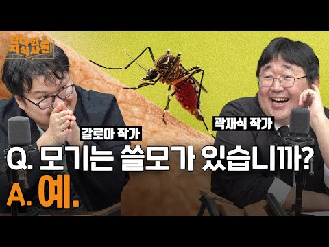 모기가 쓸모있는 유일한 순간..? | 곤충에서 영감을 얻은 기술들 (곽재식X갈로아)