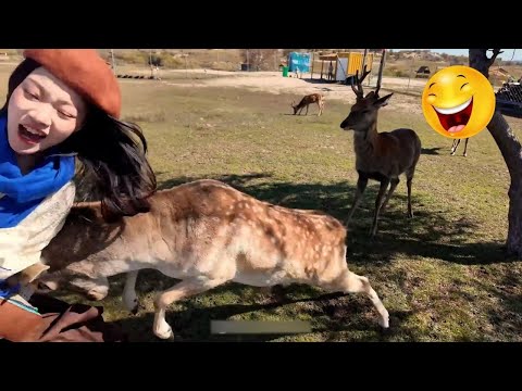 Intenta No Reírte 😂 Fails y Momentos Divertidos [Muy Difícil] 😂 2025 #7