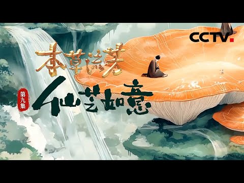 灵芝到底从何而来？如何化腐朽为神奇？揭秘中国神话中常见的仙草《本草流芳》 第9集 仙芝如意 | CCTV「本草流芳」
