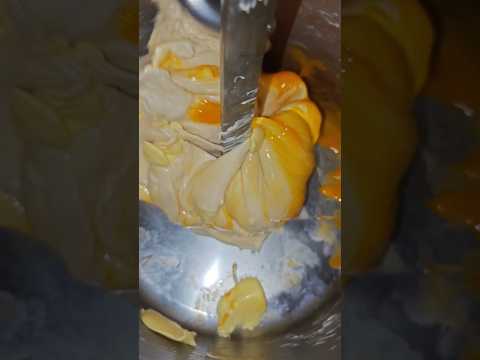 Mixing the panettone first dough [ primo impasto ]