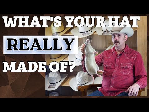 The Truth About the X Factor in Cowboy Hats | Jeff Biggars Exposes Industry Secrets