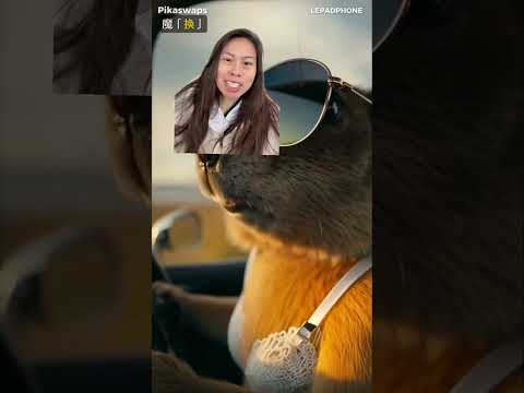 Pikaswaps AI video lets you swap backgrounds, objects, and characters in your videos! Pretty fun